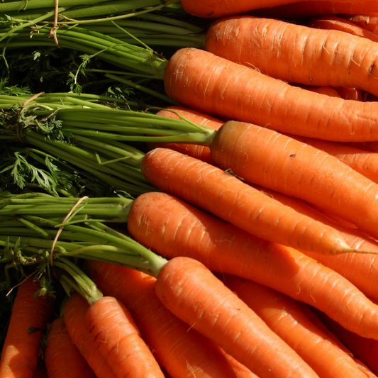 Best vegetables to grow in raised garden beds
