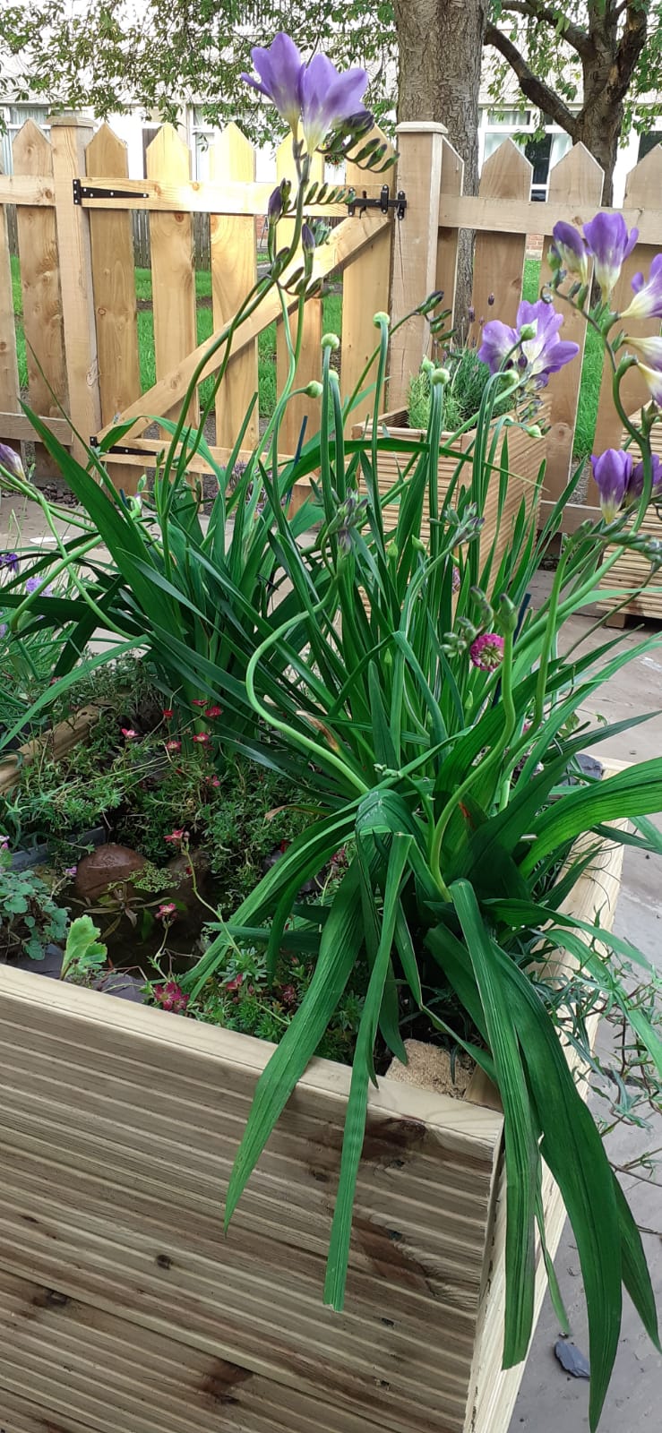 Custom size Planter Order - Deposit