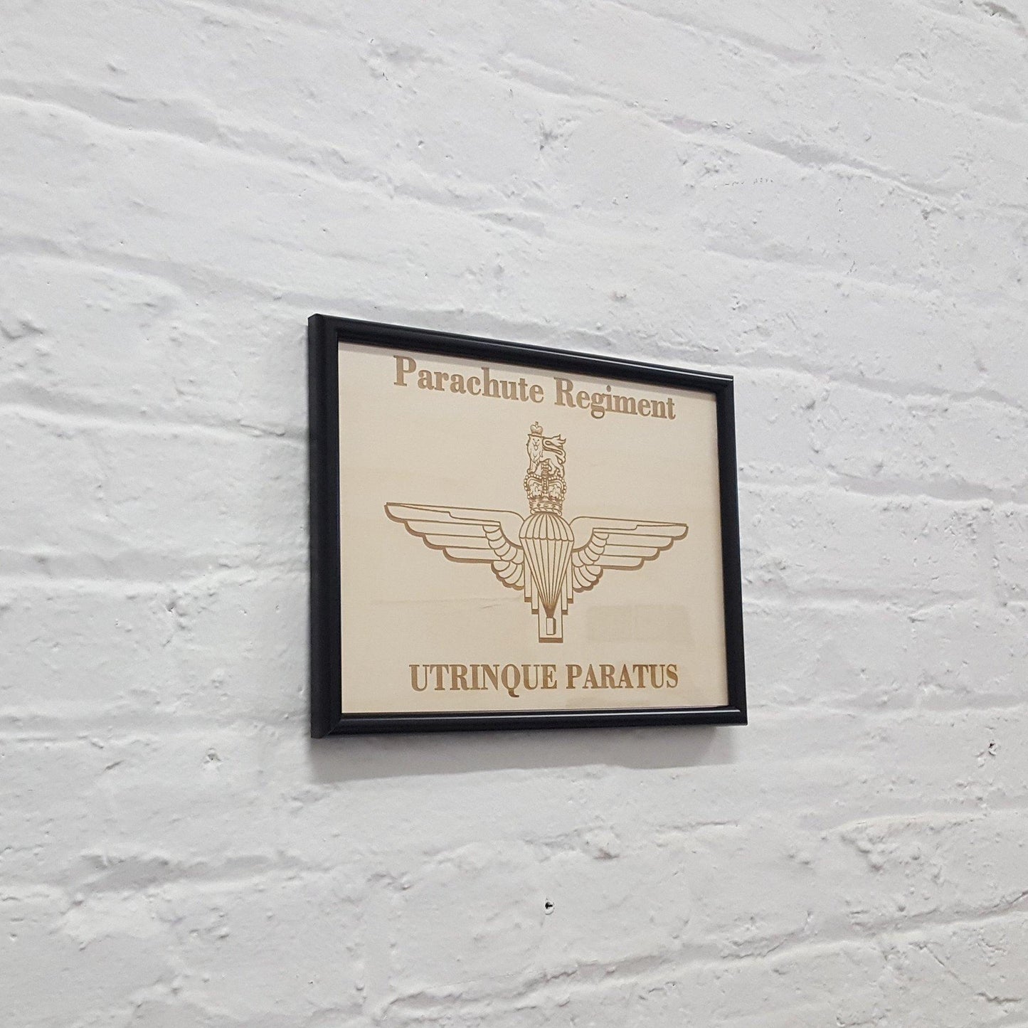Military Badges and Insignia